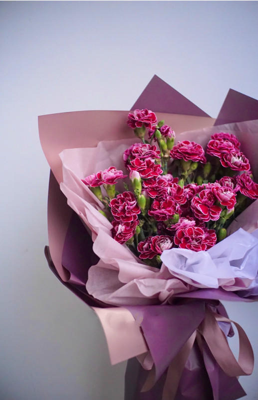 蝴蝶康乃馨【 时间是让人猝不及防的东西,偷走了青丝,留住你】简小姐