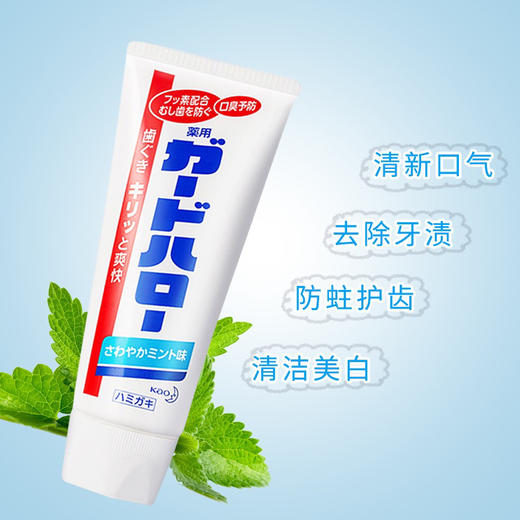 日本花王牙膏165g 商品图1