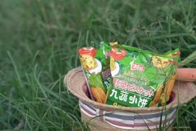 网红九蔬小饼蔬菜饼干3袋