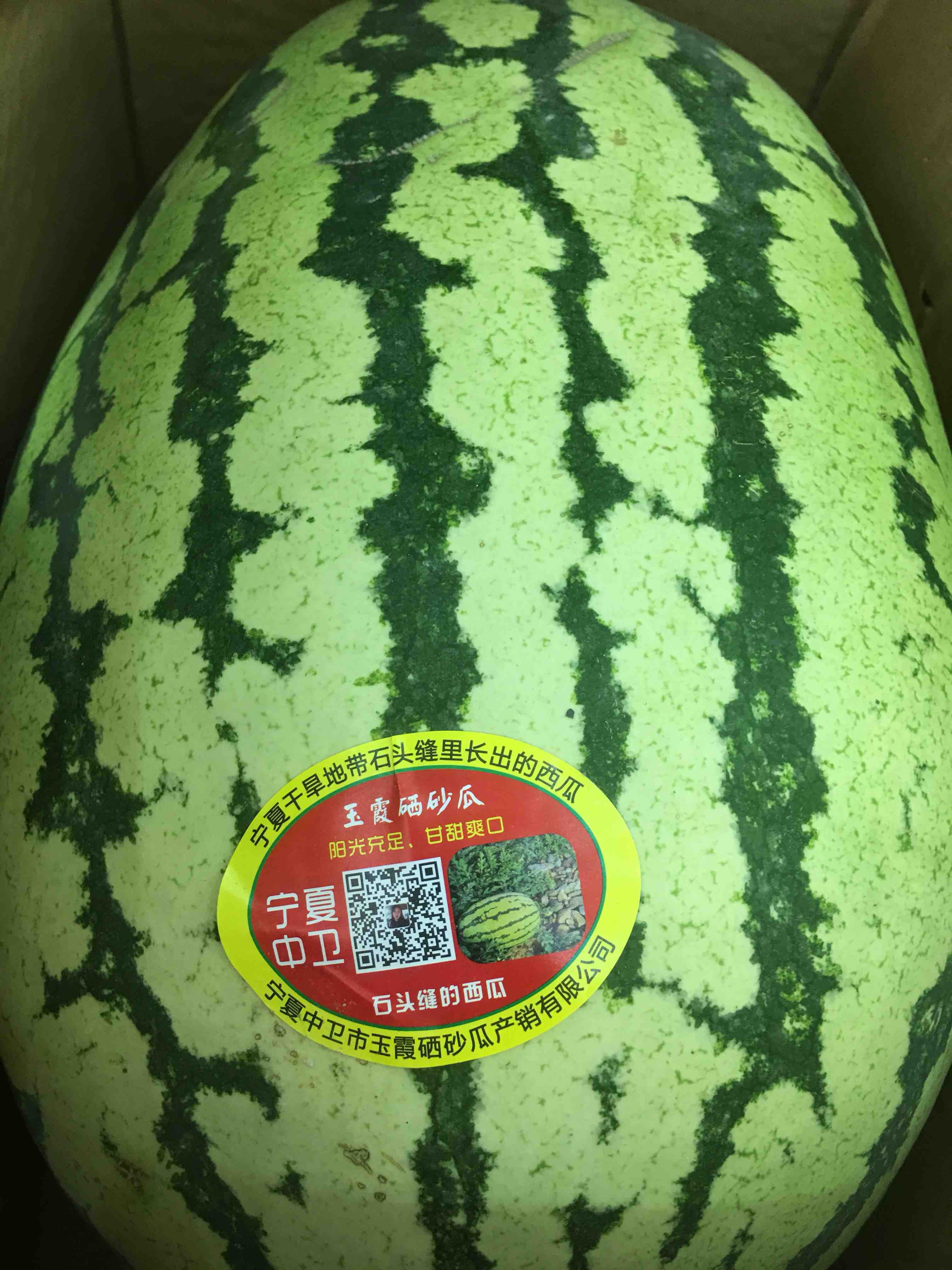 宏丰精选 正宗宁夏硒砂瓜 口感甜 石头瓜,石缝瓜