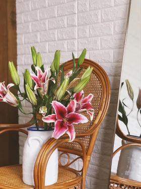 【周四团购】5枝黑美人百合59.9元 2人拼团