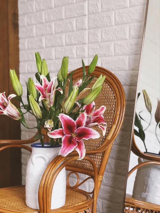 【周四团购】5枝黑美人百合59.9元 2人拼团 商品图0