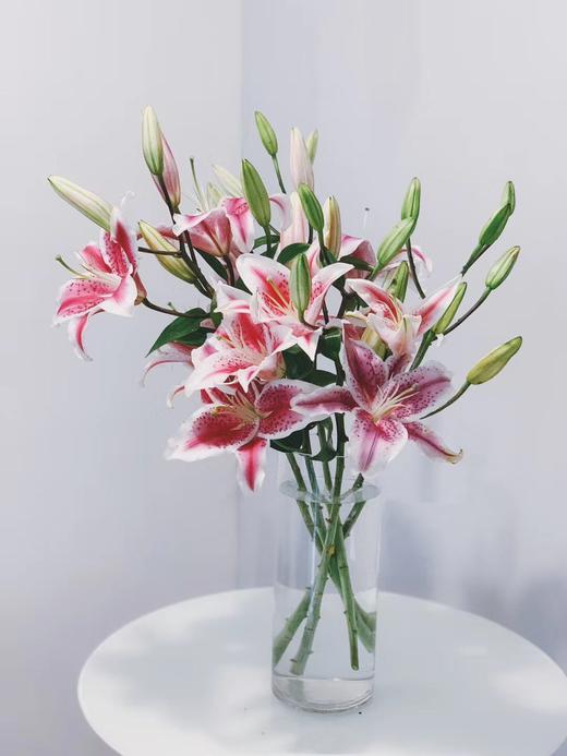 【周四团购】5枝黑美人百合59.9元 2人拼团 商品图2