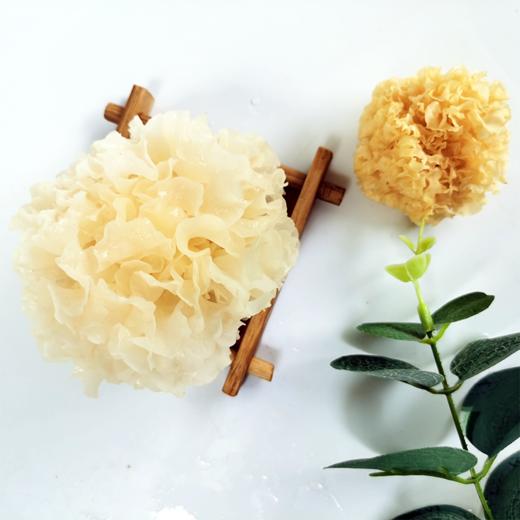 段木银耳小银耳 150g