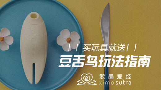 豆舌鸟独家玩法指南 商品图0