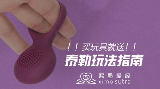 泰勒独家玩法指南 商品图0