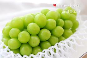 阳光玫瑰青提（香印、晴王）（三斤装）