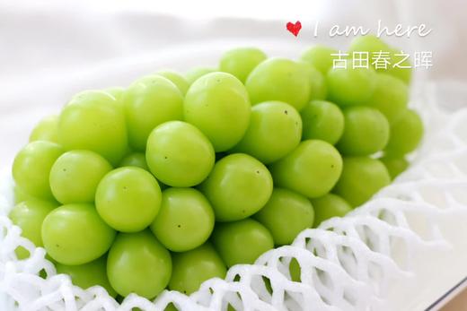 阳光玫瑰青提（香印、晴王）（三斤装） 商品图0