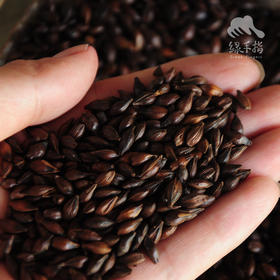 生态大麦茶  | 公平贸易* Eco- Barley Tea  | Fair trade