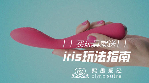 iris艾瑞斯独家玩法指南 商品图0