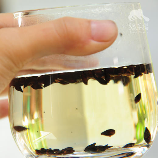 生态大麦茶  | 公平贸易* Eco- Barley Tea  | Fair trade 商品图1