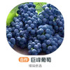 巨峰葡萄 商品缩略图0