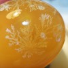 生态皮蛋 | 合作生产* Eco-thousand-year egg | Coproduction 商品缩略图0