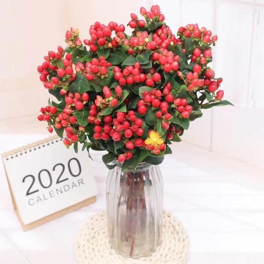 红豆（1把），自提不发货 商品图2