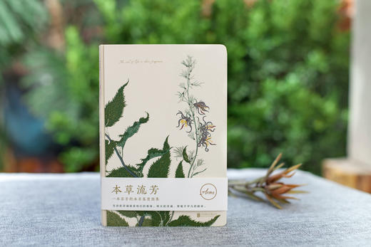 本草流芳（精选100种芳香的本草植物， 淡淡幽香、唯美形态，感受本草的纯粹。） 商品图0