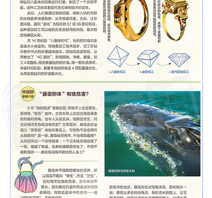 万物杂志环球科学青少版 博物杂志订阅 2021年1月订阅 全年订阅12期