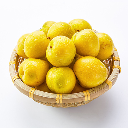 老树黄金蜜李 3斤精品大果(12个内) /5斤大果(23个左右)