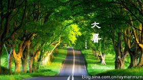 大暑宝宝饮食：骤雨孕育赏红莲