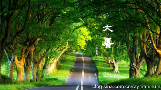 大暑宝宝饮食：骤雨孕育赏红莲 商品图0