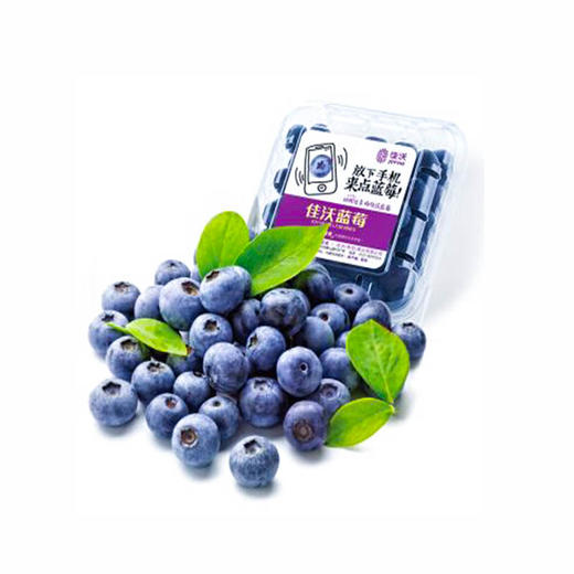蓝莓【1盒】 商品图0