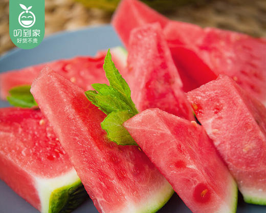 甘肃麒麟瓜/1个(12斤±250g)