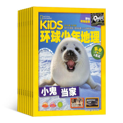 万物杂志环球科学青少版+环球少年地理杂志订阅 2021年1月-12月 全年订阅12期 科普百科书籍 自然科学历史人文 How it works中文版 商品图4
