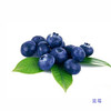 蓝莓【1盒】 商品缩略图1