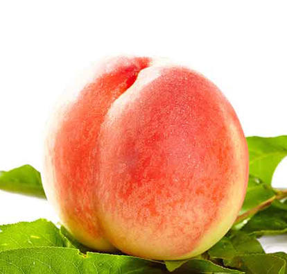 当季上新 |芷江水晶桃 露天种植 清脆可口 现摘现发5斤装 好吃到出圈的桃子蜜桃 一口脆甜到心尖！ 商品图2