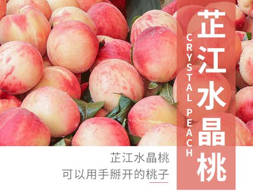 当季上新 |芷江水晶桃 露天种植 清脆可口 现摘现发5斤装 好吃到出圈的桃子蜜桃 一口脆甜到心尖！ 商品图0