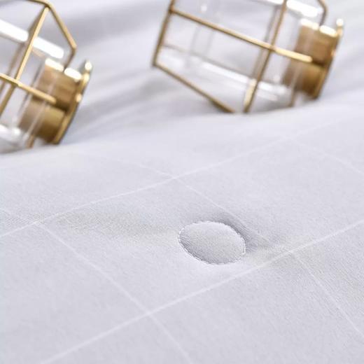 喜芙妮（SOFTNIE）家纺床上用品纯蚕丝被韵雅 填充650g 商品图2