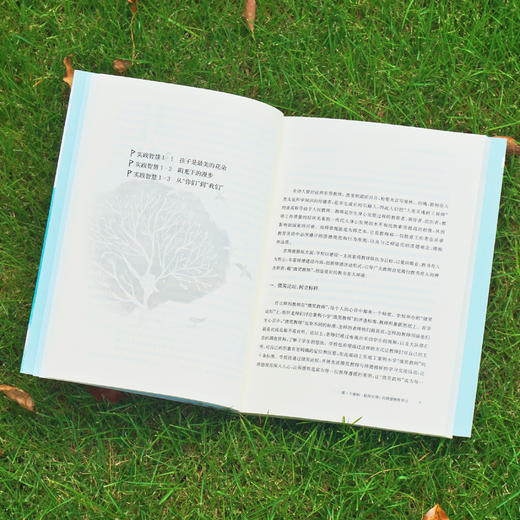 做精神灿烂的教师：教师自我成长的5个密码 朱英 特色学校教师培养案例 小学案例 教师专业成长 教师用书 正版 华东师范大学出版社 商品图2