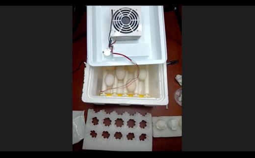 线上孵小鸡课程-专家讲座1孵化器使用讲解 商品图0