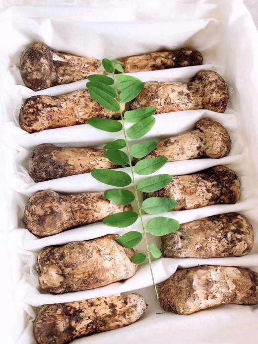 新鲜松茸香格里拉小金野生松茸菌 商品图2