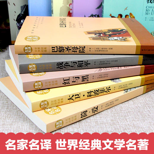 世界十大名著全套10册 简爱书籍正版包邮原著文学名家外国 巴黎圣母院 图书课外书 红与黑书原版 高中经典小说畅销书 安娜卡列尼娜 商品图2