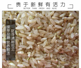  米 +造=糙 ，降血糖，又瘦身，还有活性生机的发芽糙米 