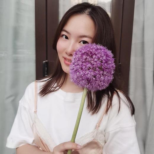 荷兰花材进口大葱花1支 商品图1