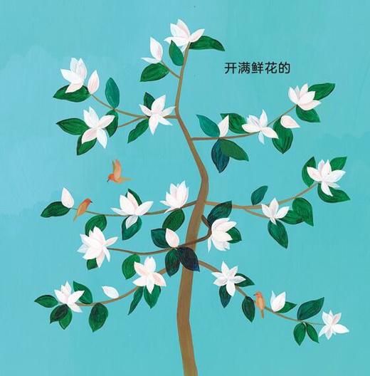 玉兰树 商品图0