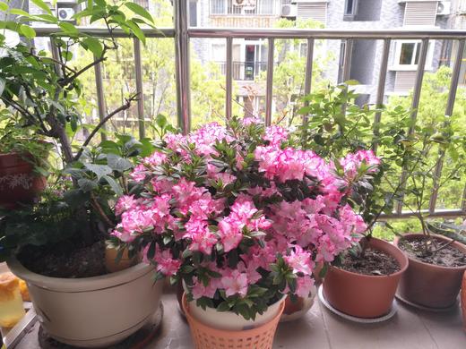 我爱我家 商品图0