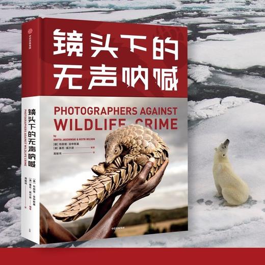 镜头下的无声呐喊 布丽塔亚申斯基 等著 野生动物保护 自然 生态环境 生命 摄影 动物与人 中信出版社图书-分销 商品图0