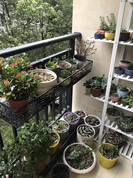 阳台一角 商品图0