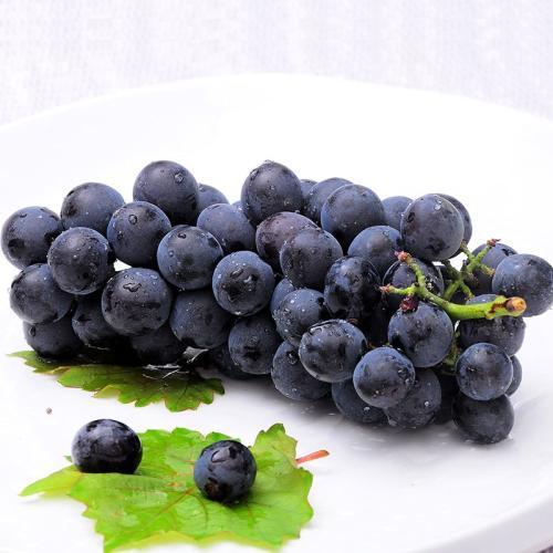 【抢购价3元/斤】夏黑葡萄 - 供销社一店