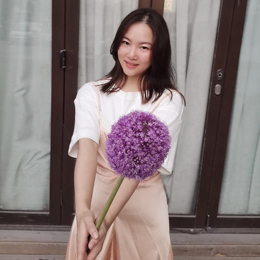 荷兰花材进口大葱花1支 商品图3