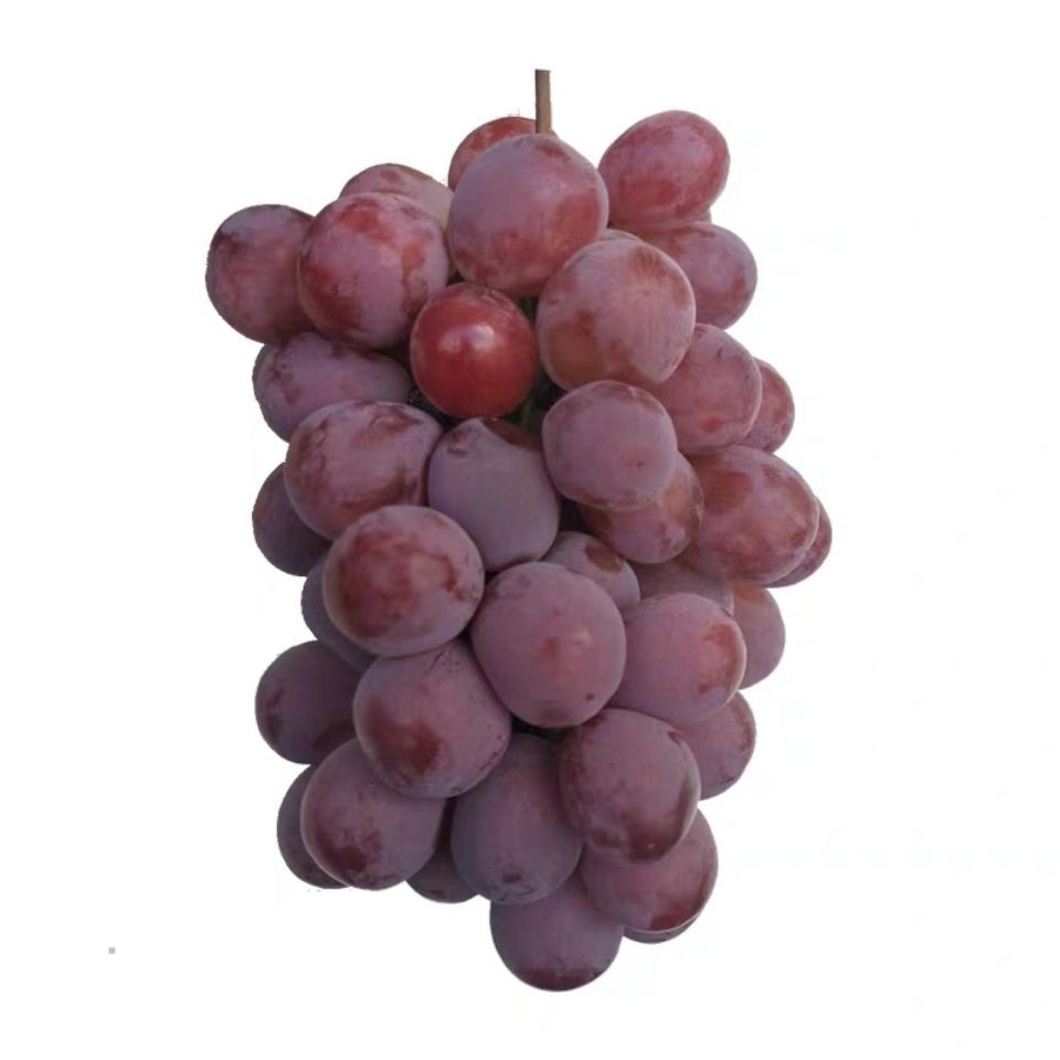 国产红提约1000g