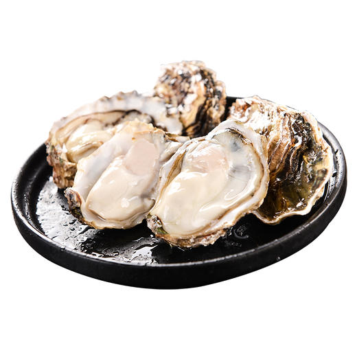 生蚝（件装） 鲜美肥厚 商品图0