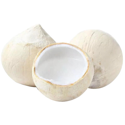 海南白椰 商品图1