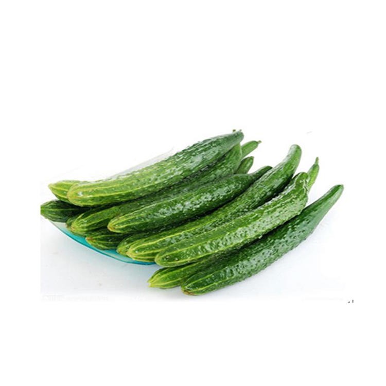 黄瓜 约1000g/份