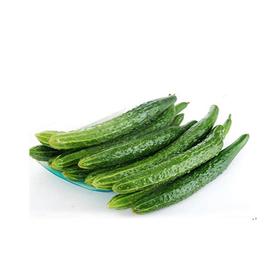 黄瓜 约1000g/份