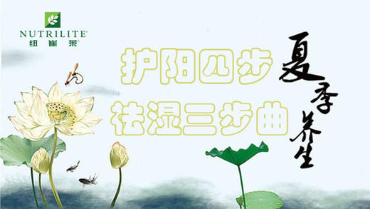 夏季养生之护阳祛湿养心 商品图0