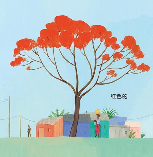 火焰木 商品图0