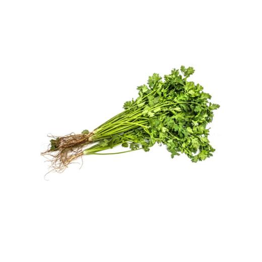 香菜 约250g/份 商品图1